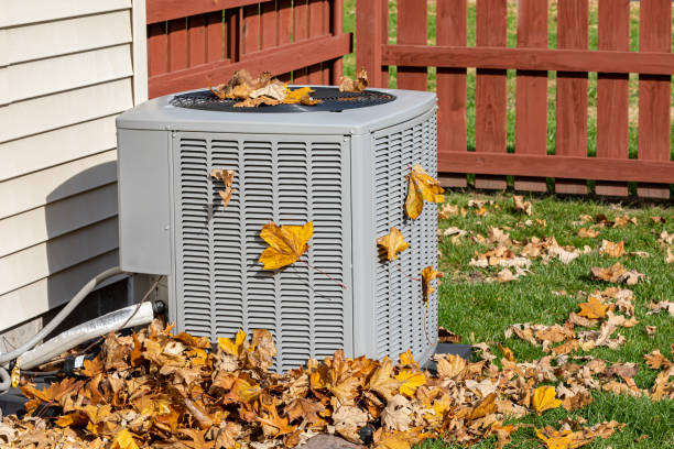 Best HVAC air duct cleaning  in Drexel Heights, AZ